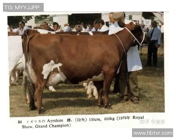 公牛在自然生态中的重要角色与文化象征意义探讨