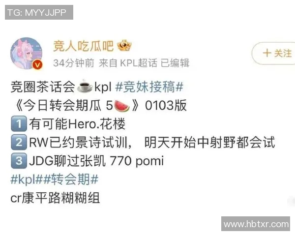 JDG在挑战者杯中的耐力表现分析与战术解读