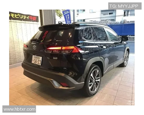 上海排球队在洲际杯积分榜上以61分稳居第一名展现强劲实力
