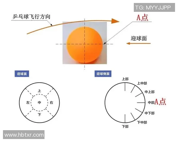 南京乒乓球队整体压制战术分析与得失反思