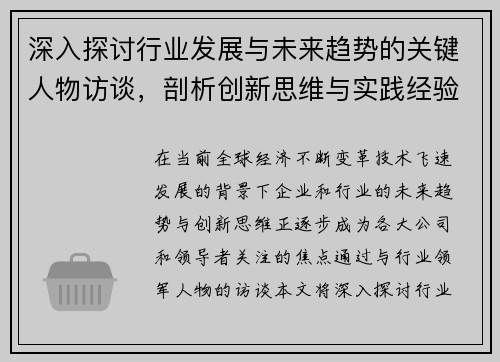 深入探讨行业发展与未来趋势的关键人物访谈，剖析创新思维与实践经验