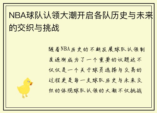 NBA球队认领大潮开启各队历史与未来的交织与挑战