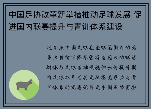 中国足协改革新举措推动足球发展 促进国内联赛提升与青训体系建设
