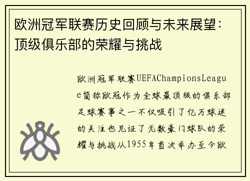 欧洲冠军联赛历史回顾与未来展望：顶级俱乐部的荣耀与挑战